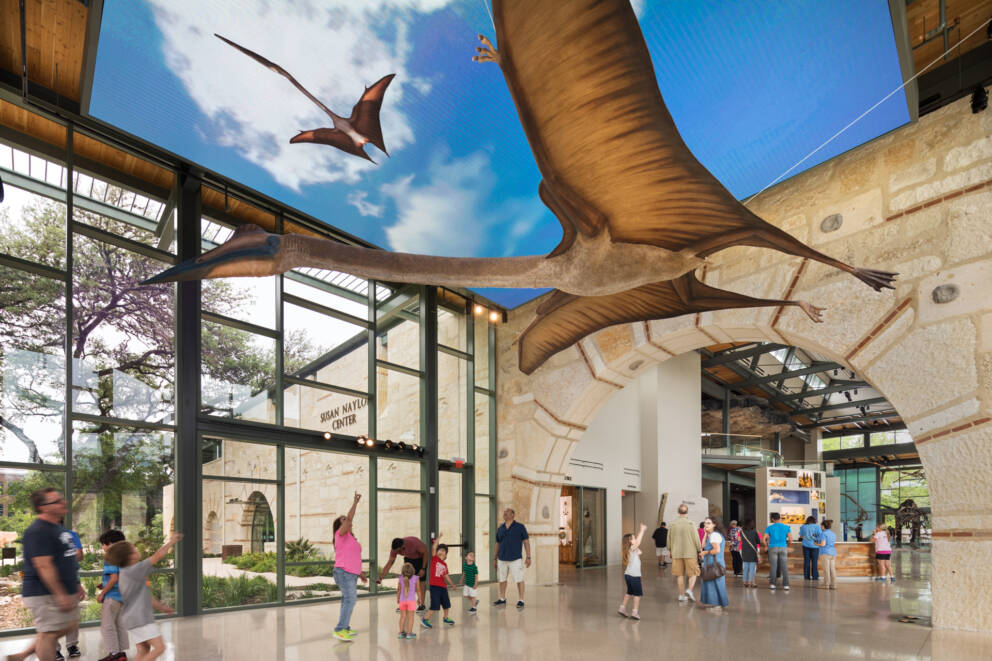 The Witte museum atrium. There are people pointing up at a model Quetzalcoatlus hanging below a ceiling mounted LED display with sky, clouds and Quetzalcoatlus.